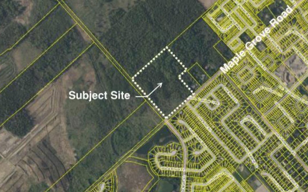 UPDATE: Revised submission for 1981 Maple Grove