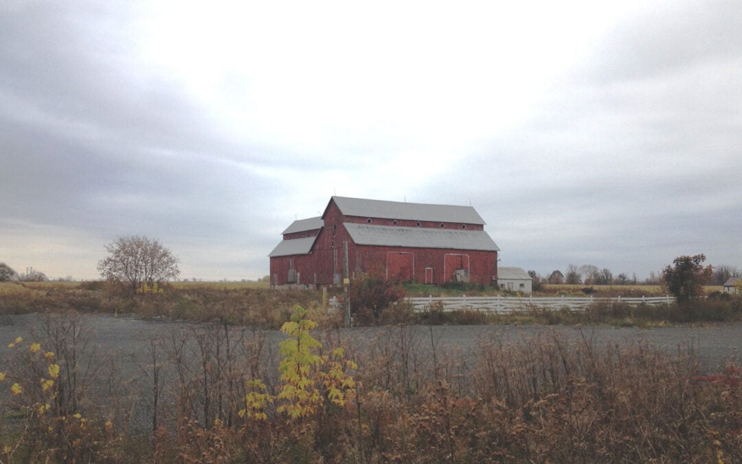 UPDATE: Bradley-Craig barn restoration continues