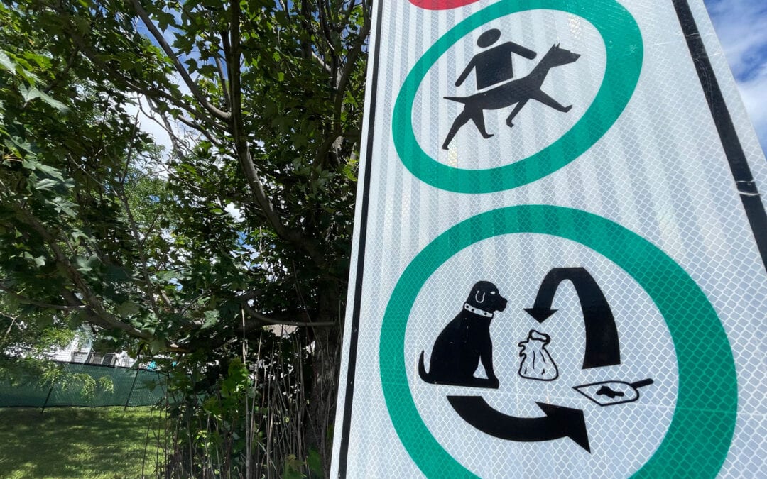 Know the rules for dogs in parks
