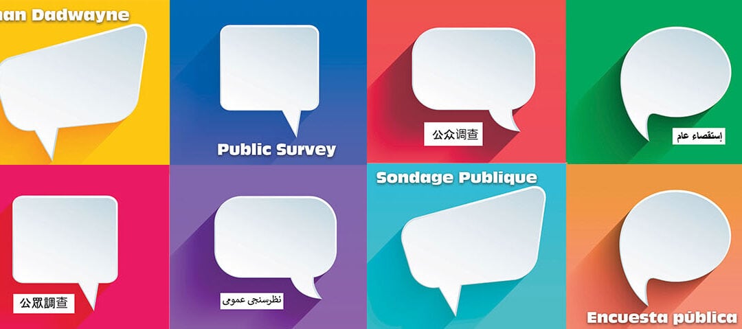 Ottawa Police Service Budget Public Survey