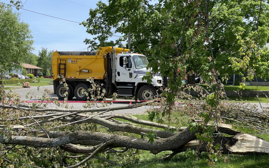 Free woodchips at Maple Grove depot and more in latest storm response update