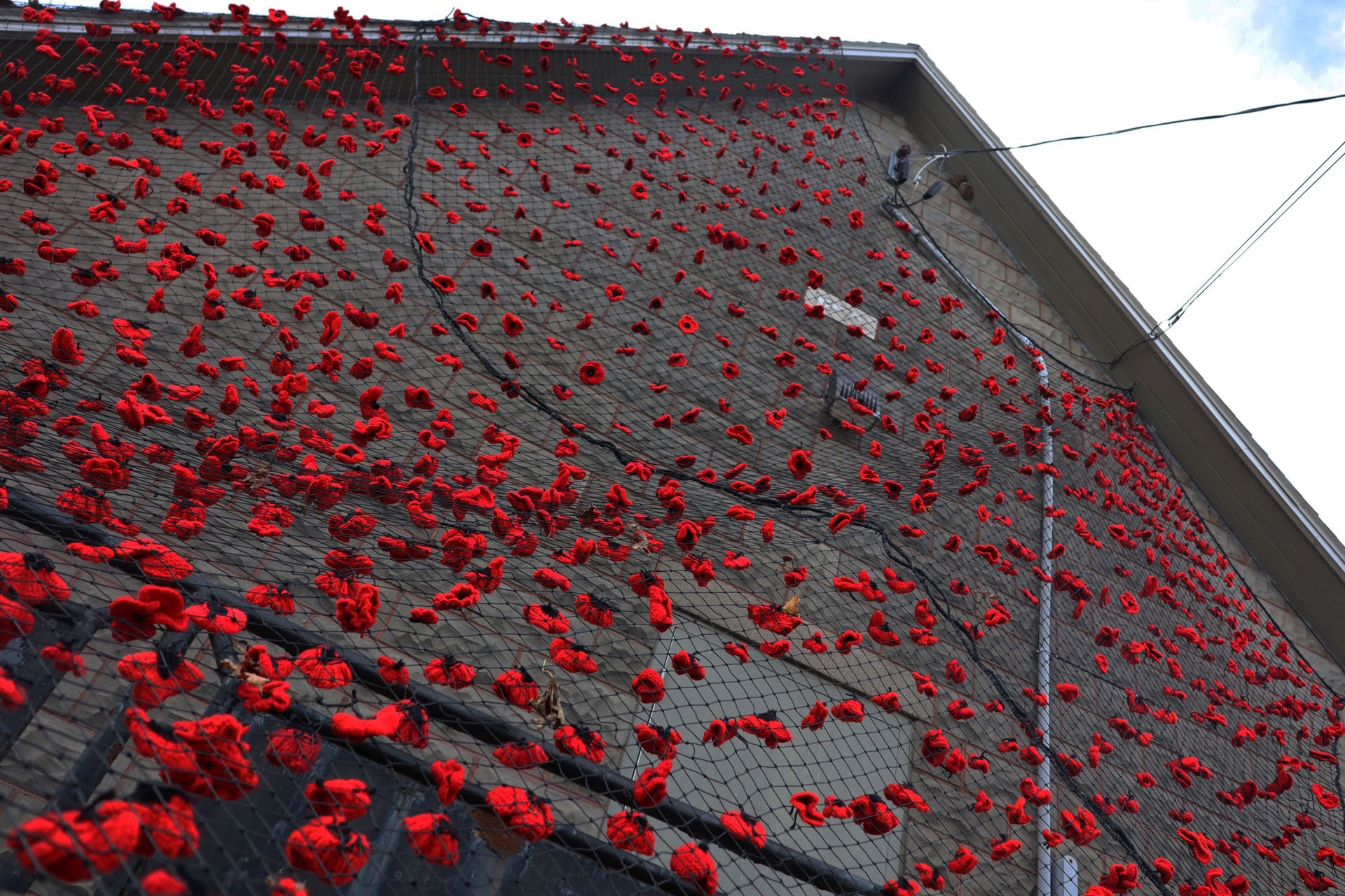 Volunteer firefighters from Station 81 help hang the poppies at the Goulbourn Museum