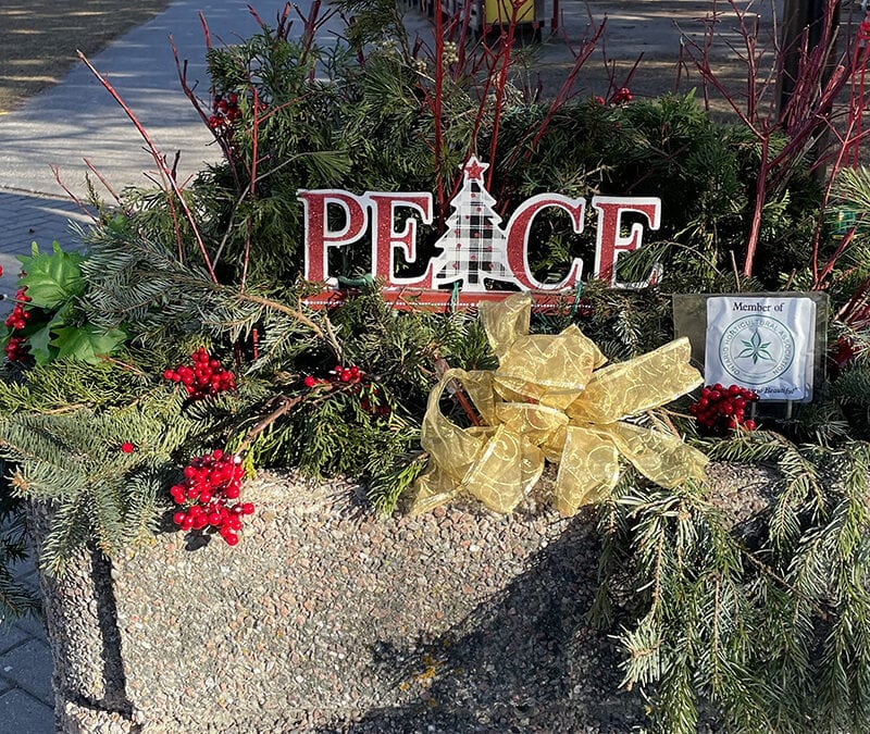 Councillor Glen’s Weekly Newsletter: December 14