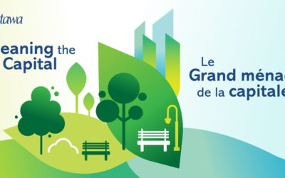 Fall Community Cleanup – Call for Volunteers!