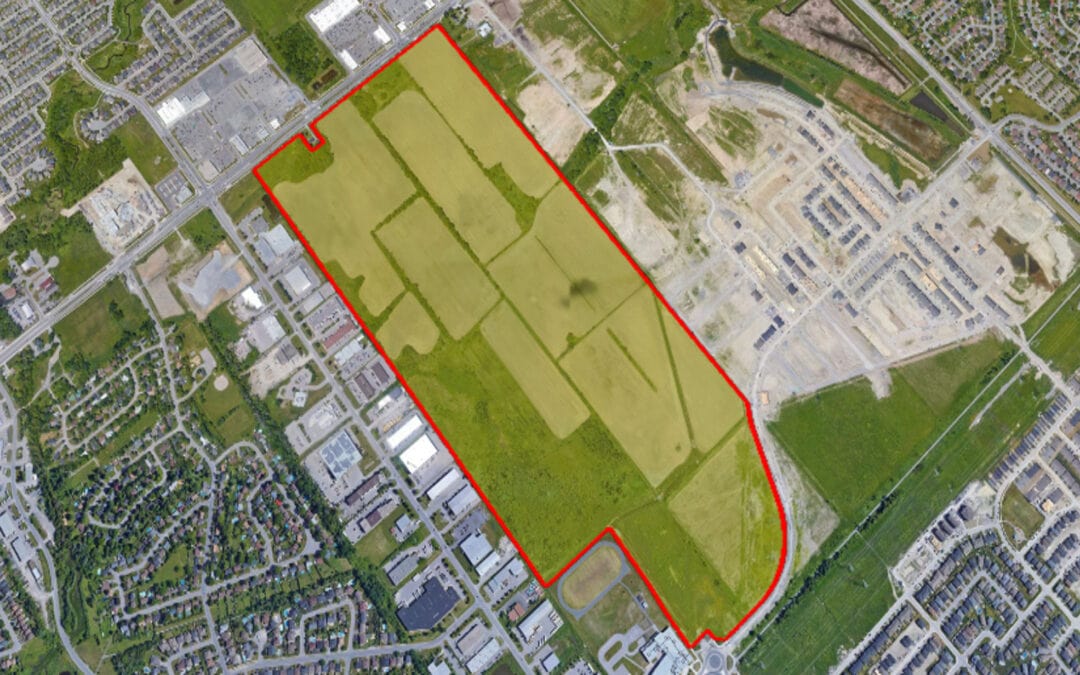 Planning & Housing Committee considers Minto’s 5618 Hazeldean proposal on May 17