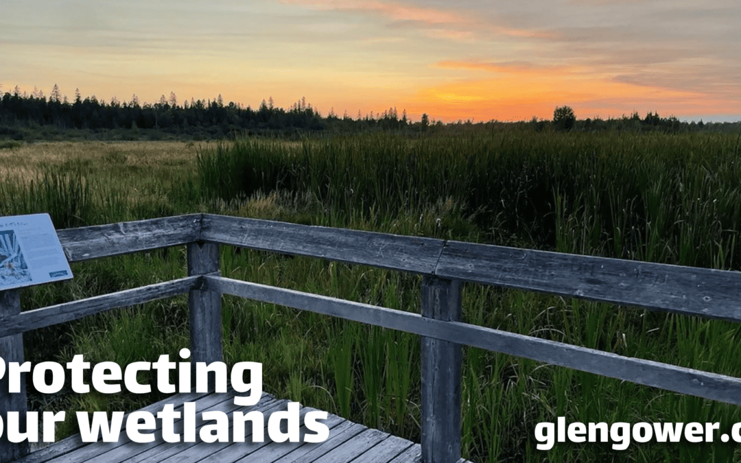 RECAP: Protecting our Wetlands meeting