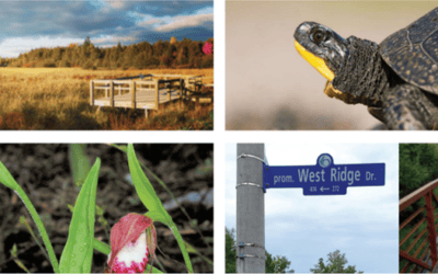 RECAP: Help Protect Stittsville’s Wetlands – Community Meeting on June 26, 2023