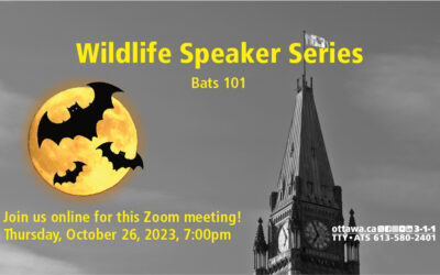 OCTOBER 26: Wildlife Speaker Series: Bats 101
