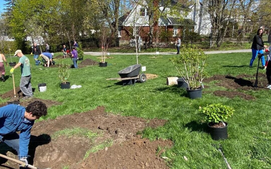 City grants available to non-profit groups for environmental projects