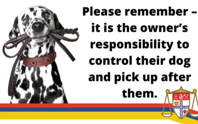 Practicing responsible dog ownership