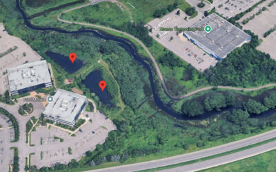 Palladium Drive stormwater pond maintenance