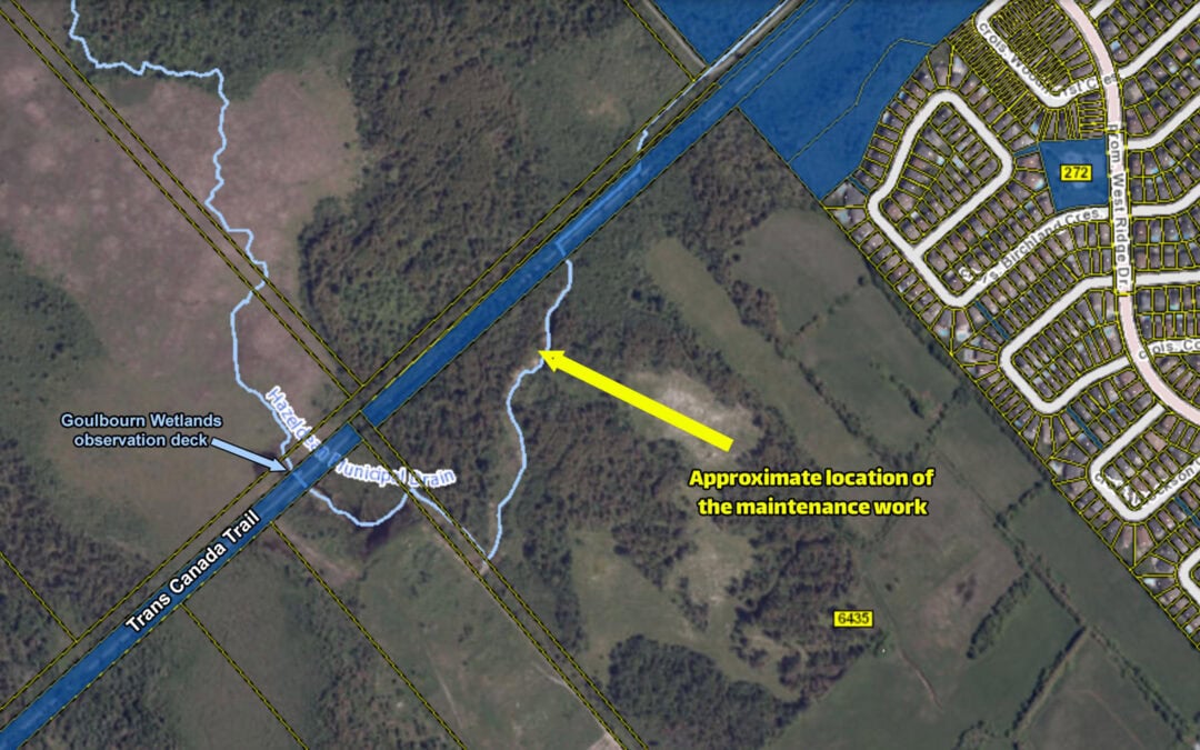 Hazeldean Municipal Drain 2025 maintenance work